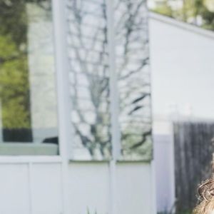 Meet your Posher, Patricia